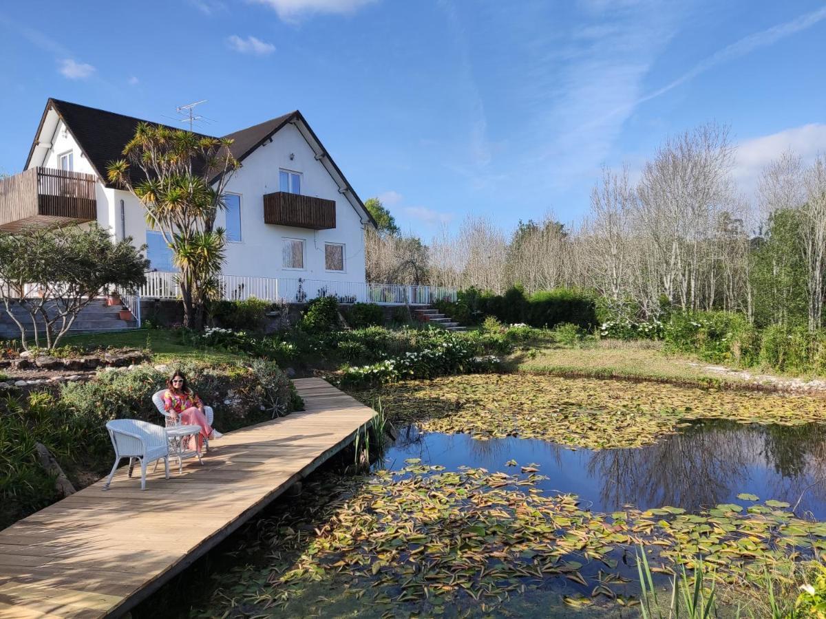 Quinta Do Soldado Villa Albergaria-a-Velha Exterior photo
